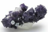 Purple Octahedral Fluorite Crystals on Quartz - China #223311-2